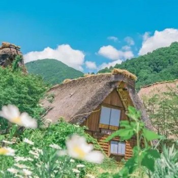 荔枝